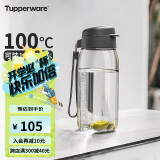 特百惠（Tupperware）乐趣550ML塑料杯 男女学生便携运动水杯子大容量双饮口 都市灰