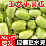 农大姐妹拇指黄瓜 玉女瓜  金童玉女小黄瓜白玉黄瓜 新鲜水果黄瓜 青瓜 精选果5斤