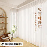 米华竖条纹垂直梦幻帘窗帘白纱帘透光不透人阳台 宽2.75米*高2.6 单片