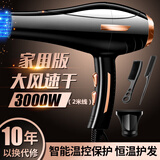 飞利浦（PHILIPS）同款发廊专用吹风机家用2200w负离子护发理发店大功率2000w速干吹风筒 家用2000w-纯铜交流电机-2米线-