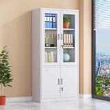 异彩年华钢制文件柜铁皮柜子储物柜带锁办公室五节财务凭证档案资料收纳柜 大器械柜(整体发货，破损包赔) 促销款