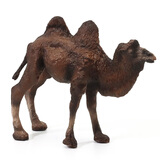 玛奇乐（MECHILE）仿真动物模型玩具大象大熊猫老虎河马犀牛狮子骆驼袋鼠斑马狼鳄鱼 骆驼