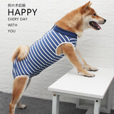 aipetofstory大狗狗绝育服45-60斤可用大型犬绝育手术服透气术后衣服条纹XL
