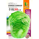 丰抗90白菜种子白菜籽蔬菜山东白菜种孑冬季耐寒四季秋大白菜种籽 永红丰抗80白菜籽约 1000粒