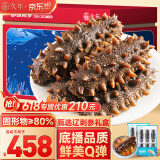 久年大连即食海参1000g20-30只 固形物超80% 冷冻辽刺参 生鲜海鲜礼盒