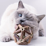 加仕高猫玩具逗猫自嗨猫薄荷球幼猫成猫咪磨牙棒玩具木天蓼猫薄荷球