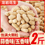 其妙 龙岩花生带壳炒制小花生散装休闲零食批发 【蒜香味+五香味】 500g*2袋