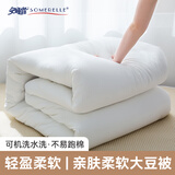 安睡宝（SOMERELLE） 七孔被子 被芯 大豆纤维被褥 抗菌学生宿舍床褥 纯情白（7孔抗菌春秋款） 200*230cm