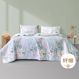 富安娜被子夏凉被可机洗抑菌裸睡空调被免被套双人夏凉被 230x229cm蓝色