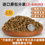 CPAI日本进口赤玉土三本线正品多肉专用土盆景专用铺面硬质营养土 进口原包赤玉土3-6mm【5斤】 正品进口假一赔十