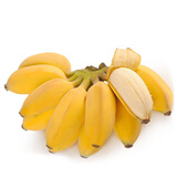 静益乐源广西小米蕉 粉蕉 新鲜香蕉水果 净重4.5-5斤装