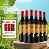 张裕先锋法国苔思藤加斯科尼干红葡萄酒750ml*6瓶 整箱装进口红酒送礼