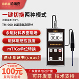 珀瑞克TM-800高斯计磁场强度检测仪磁力磁场检测特斯拉计磁强计表面磁场 TM900高斯计（1级精度  ±1%）