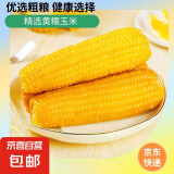 新鲜黄糯玉米真空包装速食玉米低脂粗粮代餐杂粮早餐包邮京东快递 实惠 10棒 180g-220g/棒