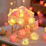 TaTanice 玫瑰灯串1.5米10灯 求婚表白布置彩灯装饰后备箱惊喜女神节装饰