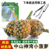 鑫果滋广东中山神湾甜菠萝正宗本土特产小菠萝香水凤梨新鲜波罗水果送礼 大果 【+菠萝铲】 净重5斤（默认普通纸箱，需要礼盒请备注）