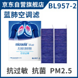 科德宝蓝肺空调滤芯BL957-2适用凡尔赛C5 X标致508L 408 4008 308 ES600
