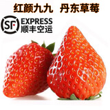 卡布诺丹东草莓红颜99大草莓奶油九九新鲜草莓水果生鲜精品生日礼物礼盒 中果2斤装（20-30g/个）净果900g