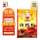 王守义 十三香调味品调料卤料包小龙虾调料炒菜炖肉拌菜蘸料腌制调味料 王守义孜然粉35g*1袋