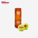 Wilson威尔胜美网联名青少年儿童网球比赛网球 3粒装 橙色