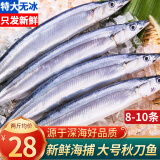渔吻 秋刀鱼新鲜冷冻 深海鱼日式烧烤秋刀鱼生鲜海鲜水产 【超大号】秋刀鱼500g*2 (10条)
