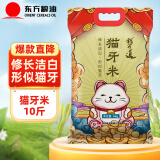 稻可道 猫牙米 长粒米5kg 大米 籼米 丝苗米 10斤 