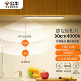 公牛（BULL）感应橱柜灯衣柜灯LED人感光感磁吸 卧室床沿玄关小夜灯30CM4000K