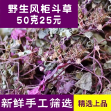 精选野生风柜斗草正宗益肝草褚头红绪红叶风骨草干品清洗干净煲汤 精选绿叶斗草50克