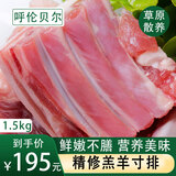 鲜羊官 内蒙古羊肉 羊排3斤 生鲜 精修寸排 烧烤食材羊排骨 精品羊排 精修羔羊寸排1.5kg