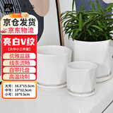 九千谷陶瓷花盆带托盘家用阳台绿植蝴蝶兰花多肉盆V纹亮白3件套3734