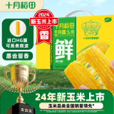 十月稻田 鲜食黄糯玉米 2.2kg(220g/根*10) 东北黏甜玉米棒 早餐 杂粮礼盒