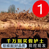 补诱农家自种年货红皮铁棍山药5斤正宗河南焦作特产新鲜紫怀淮山铁杆 垆土多锈[50CM]（今挖直配）5斤 铁棍山药