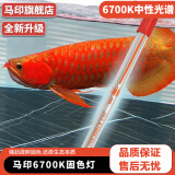 马印鱼缸灯NEC龙鱼灯专用增色潜水灯防水三基色6700k水族箱 马印龙鱼固色灯6700k(172CM-70W)