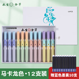永生正姿钢笔软胶矫正握笔姿势小学三年级专用初学者练字暗尖可换墨囊礼物  3413马卡龙色12支盒装