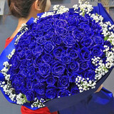 花递鲜花速递99朵玫瑰花束生日情人节礼物送女友同城配送当日达 99朵蓝色妖姬|D87 平时价