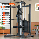 爱宸单边飞鸟综合训练器高位下拉练臂引体向上龙门架家用力量训练器材 双轮飞鸟[100KG精钢配重/包安装]