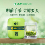 文新绿茶手工头采信阳毛尖特级75g2024年明前罐装新茶上市