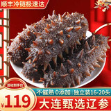 鲜拔头筹 即食海参 大连刺参单个装 深海辽刺参海参礼盒春节送礼鲜食海参 9年7A海参500g【16-20头】