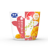 银桥小牛包黑巧厚椰杨枝甘露香芋乳茶牛奶5口味混合10袋陕西营养早餐 杨枝甘露牛奶（12袋）