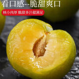 蜂糖李子树苗嫁接特大晚熟脱骨青脆李子果树苗南北方种三华李树苗 蜂糖李70~120cm高当年结果 70cm(含)-79cm(含)