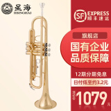 星海（XINGHAI INSTRUMENT）降b调小号乐器 XT-100/120学生考级儿童初学入门款学校乐队通用 入门款YH-521型