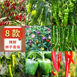花沃里8款辣椒种子1000粒 蔬菜种子美人椒朝天椒牛角五彩椒二荆条螺丝椒