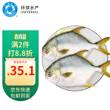 环球水产 南海金鲳鱼700g 2条 BAP认证深海鱼 冷冻 生鲜鱼类海鲜 家庭聚餐