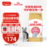 皇家猫粮 英短幼猫粮 BSK38 通用粮 4-12月 2KG