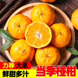 果果牛麻阳椪柑 桔子柑橘当季新鲜水果高山酸甜整箱 可选 3斤装中号(尝鲜)