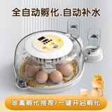 暖立方 家用型孵化器智能小鸡孵化机全自动小型鸡鸭鹅孵化箱芦丁孵蛋器 【自动补水】8枚全自动单电