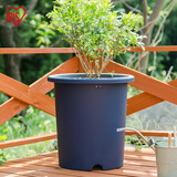 爱丽思花盆塑料深型树脂花盆特大号多肉花盆种花种菜盆爱丽丝14号蓝色