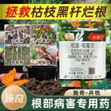 施奇卉悦嘧菌噁恶霉灵土壤消毒杀菌剂花卉月季植物黑杆黄叶烂根专用药