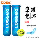 欧帝尔（Odear）网球passion air系列网球耐打高弹训练比赛罐装网球 passion 2罐 4粒装+避震结