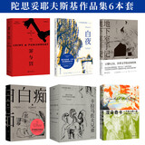 陀思妥耶夫斯基作品集6本套 小说 地下室手记   罪与罚 涅朵奇卡 卡拉马佐夫兄弟  白夜 白痴 京东超级618